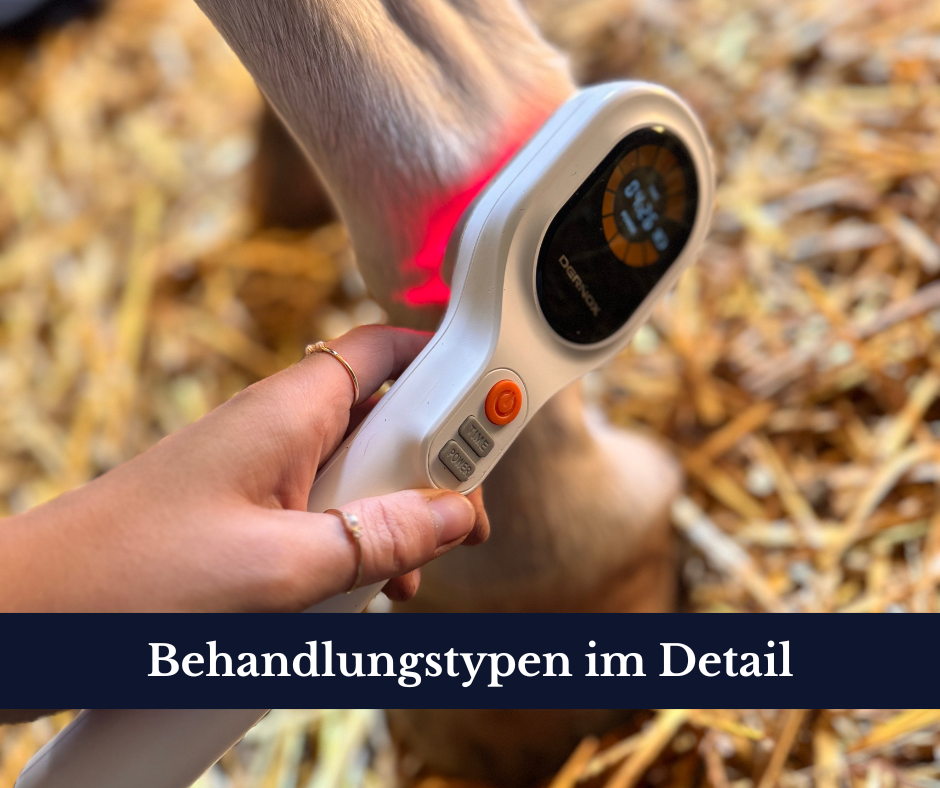 leistungen (1)