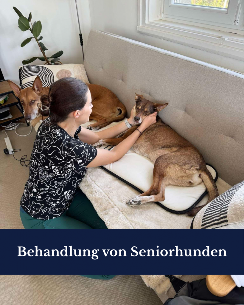 Startseite zustandsanalyse (2)