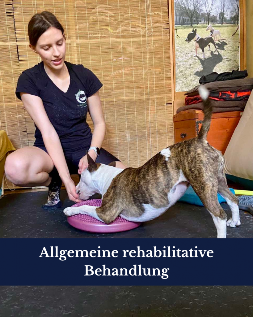 Startseite zustandsanalyse (4)