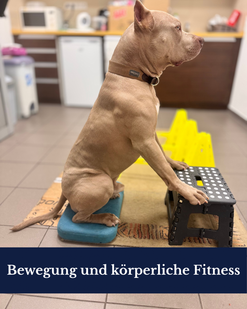 Startseite zustandsanalyse (5)