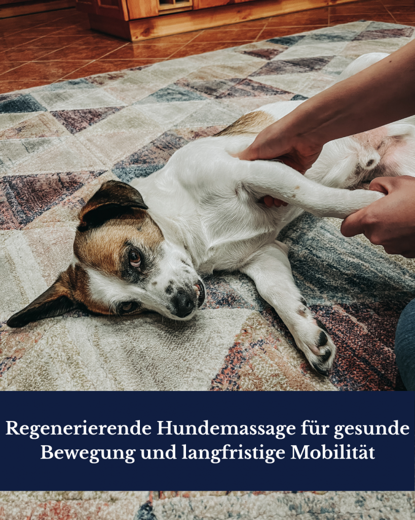 Startseite zustandsanalyse (7)