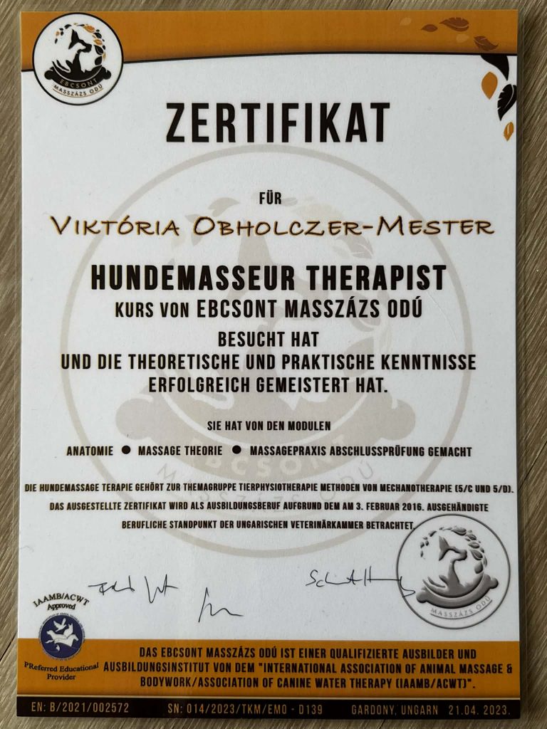 Über mich bfbdbd74 0314 48ce 82ef b78068ec7ad9