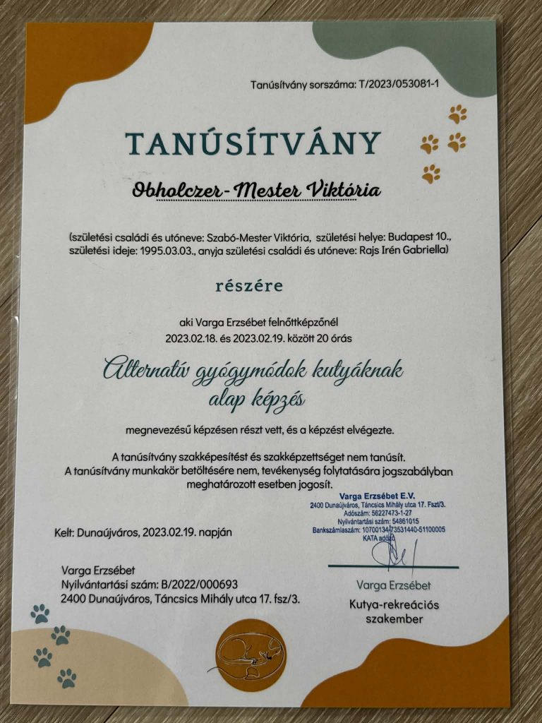 Über mich d664355d 1a09 41ac a62a 2c4adbb8bb58