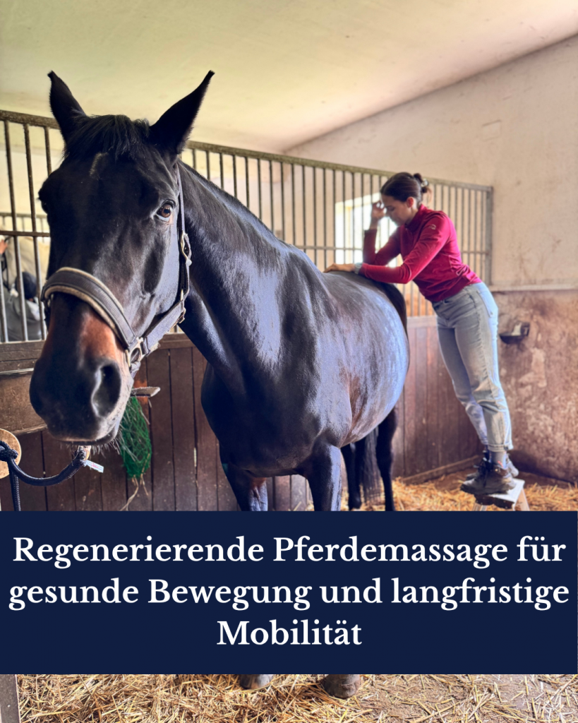 Startseite zustandsanalyse (8)