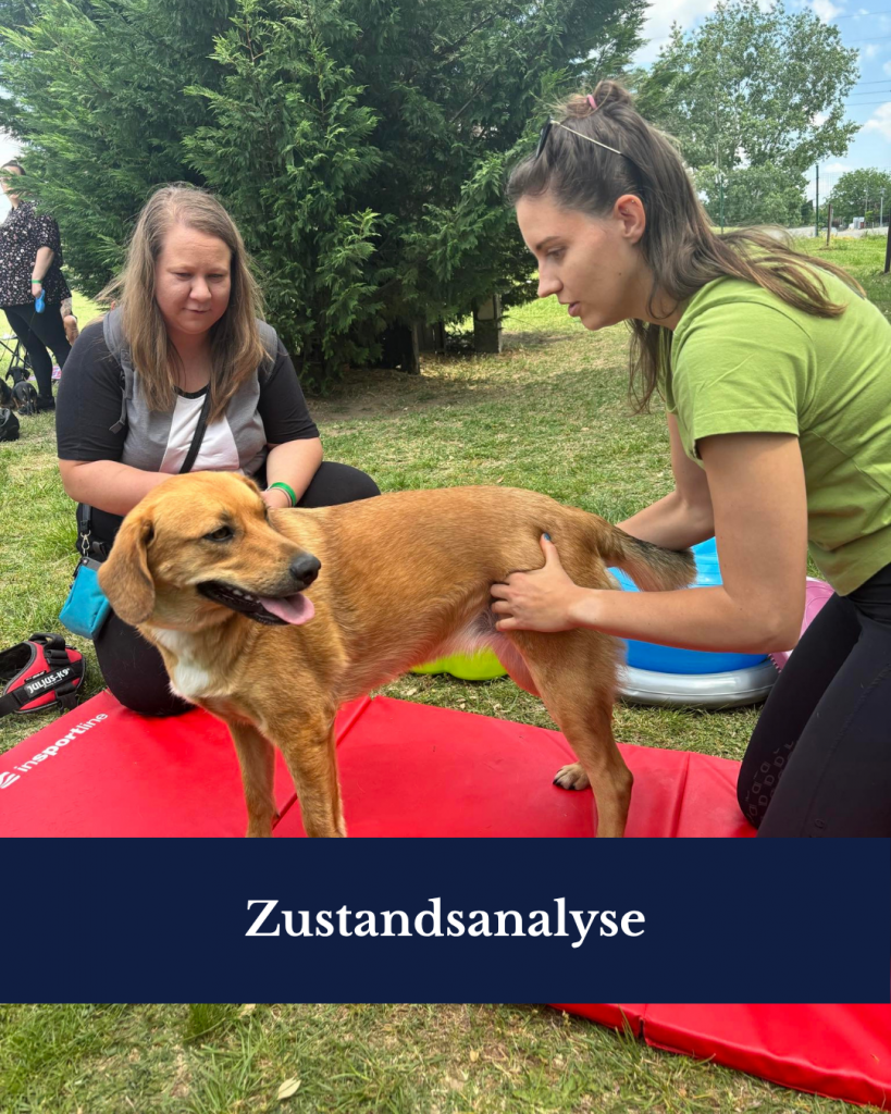 Startseite zustandsanalyse (6)